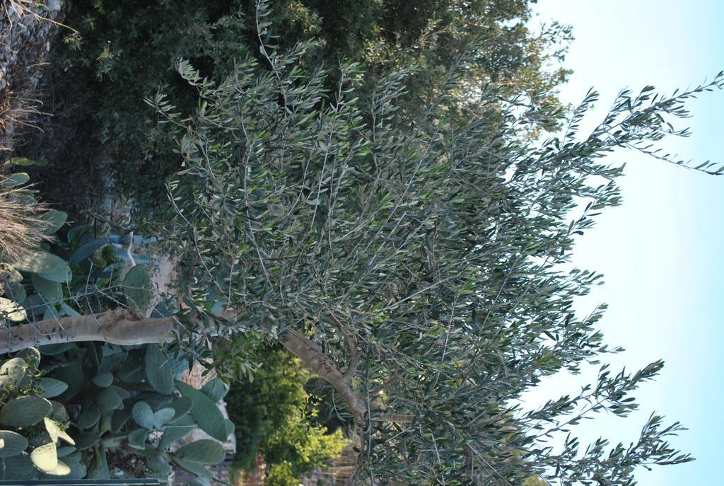 Le Dimore Del Sarto Polignano A Mare Exterior foto